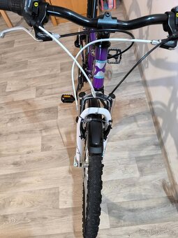 Kolo X-Fact 24 " - 3