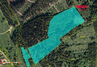 Prodej lesa, 61613 m², Nový Hrozenkov - 3
