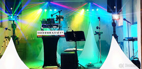 Dj a zpěvačka na svatbu - 3