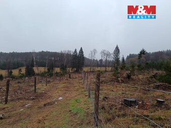 Prodej lesa, 37567 m², Vacovice - 3