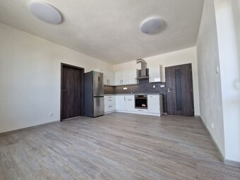 Pronájem bytu 2+kk 52 m², U Borských kasáren - Bory - 3