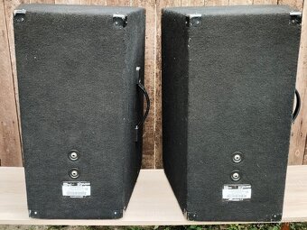 Reprobedny Peavey - 3