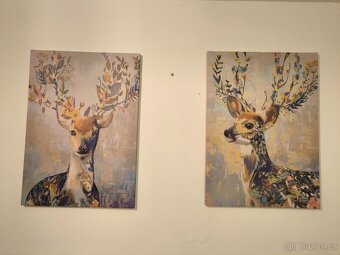 Obraz /y z IKEA barevný sob - 3