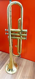 Trumpeta Lignatone - 3