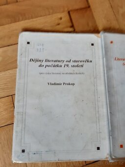 V. Prokop - Literatura 19. století a počátku 20. století - 3