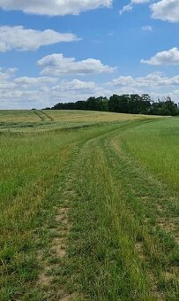 Prodej pole 19.020 m² Libošovice - Dobšice - 3