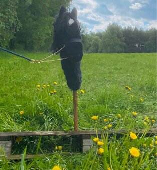 Hobby horse - 3