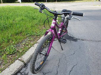 Kolo Core Nipper 20" - 3
