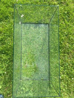 Terarium - 3