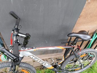 Kellys Salamander - 3