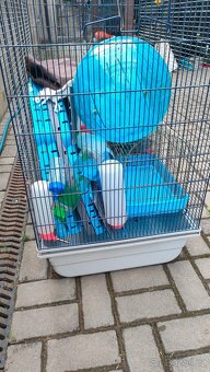 Klec Savic Freddy 2 max + náhradní dno + vybavení + jídlo - 3