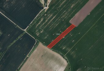 Zemědělská půda, prodej, Hustopeče, Břeclav - 3