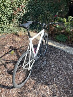 Fixed gear, furtšlap, dráhovka, singlespeed - 3