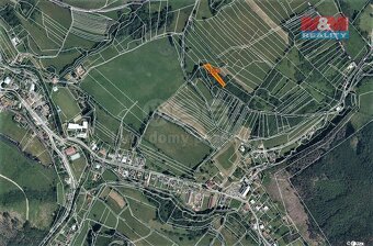 Prodej lesa, 906 m², Rajnochovice - 3