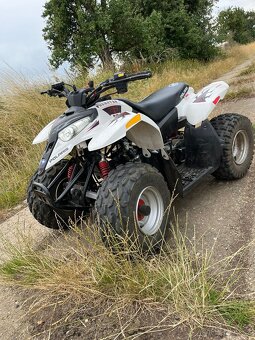 Polaris Predátor 50ccm - 3