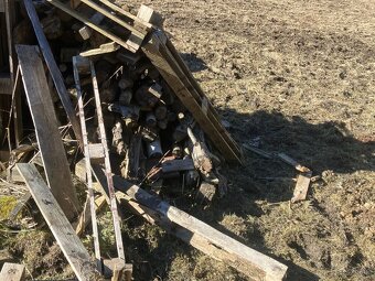 Daruji dřevo - STÁLE AKTUÁLNÍ - 3