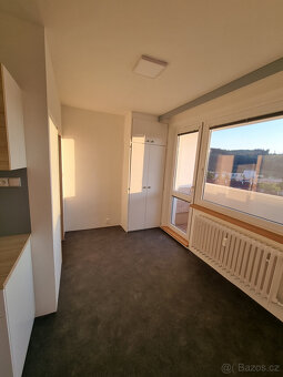 Pronájem bytu 1+1 ve Vsetíně, 46m2 + 6m2 dvě zasklené lodžie - 3