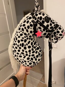 Hobby horse - 3