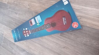 Ukulele - 3