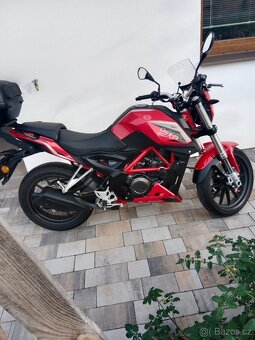 Benelli BN 251 - 3
