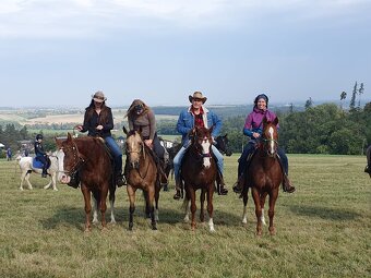 AQH KLISNA  2010 - PRODANÁ - 3