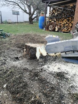 Frézování pařezů - 3