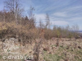 Lesní pozemky, 60 208 m2 , obec Přimda, okr. Tachov - 3