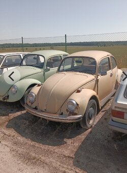VW Brouk - 3
