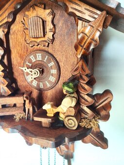 Hezke,  kukacky, Schwarzwald - 3