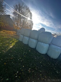 jetelotravní senáž - 3