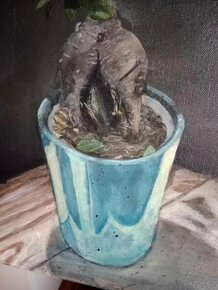 Obraz kytka bonsai ficus ginseng AKRYL - 3