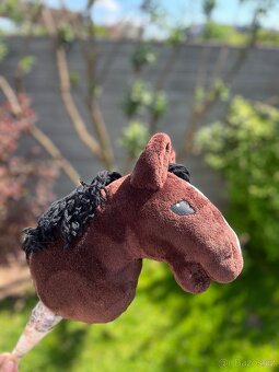 Hobby horse - 3