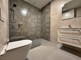 Pronájem bytové jednotky 1+kk 50m2 - 3