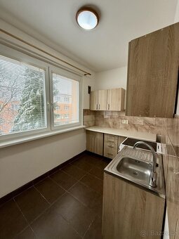 Pronájem bytu 2+1+L 55 m2 - 3