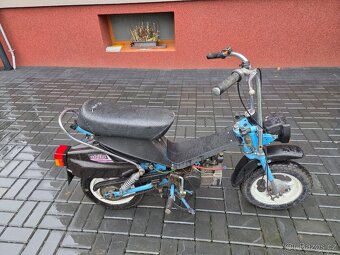 MOKIK Babetta - STELLA vzácná - 3