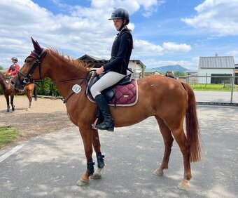 Pony klisna kategorie B - 3