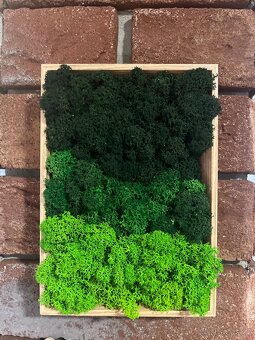 Mechové obrázky - 3