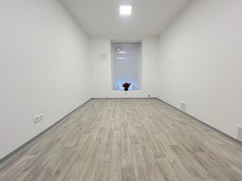 Pronájem obchodního prostoru, ul. Vídeňská třída, Znojmo - 3