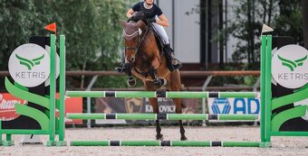 Parkurová klisna pro ambiciózního juniora - 3