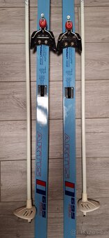 Běžecké lyže Artis Polar - 3