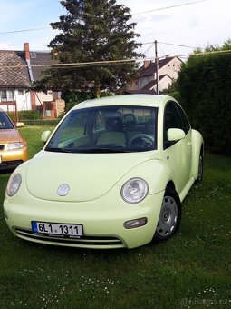 New Beetle - 3