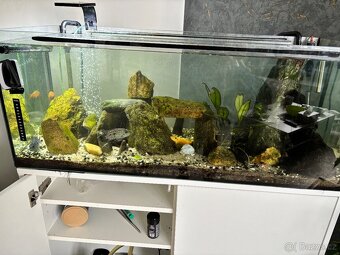 Kvarium komplet se vším - 3
