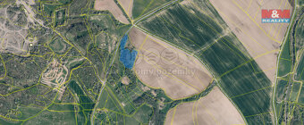 Prodej lesa, 13318 m², Blíževedly - 3