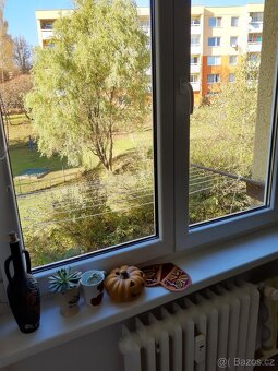 Pronájem bytu 1+1, 40 m², 8000 Kč - Rožnov pod Radhoštěm - 3