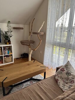 Kočičí strom od Nováků - 3