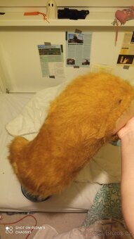 Fursuit psa s floppy ears - 3