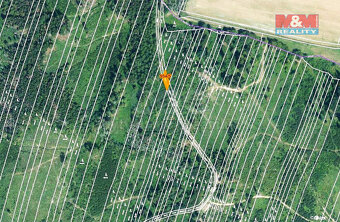 Prodej lesa, 6647 m², Nová Hradečná - 3