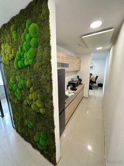 Pronájem kanceláře 56 m2 Uherské Hradiště - 3