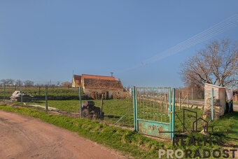 Prodej pozemku 450 m2 s vinným sklepem ve Strachoticích, okr - 3