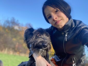 Daruji psa za pitel granuli - 3